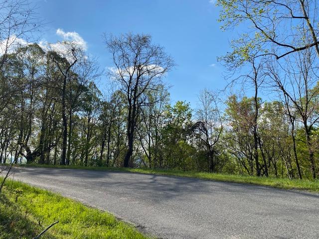 0 Jeters Chapel Road Vinton, VA 24179 - Photo 2 of 9 a view of backyard with green space