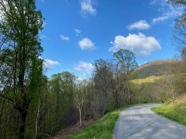 a view of a pathway with a tree in the background