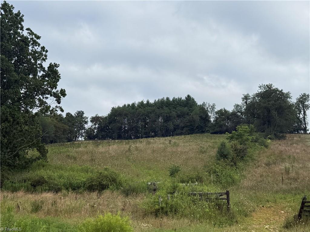 Tbd Roby Poe Road Crumpler, NC 28617 - Photo 4 of 21 Gallery Image 4