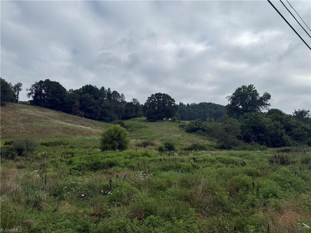 Tbd Roby Poe Road Crumpler, NC 28617 - Photo 8 of 21 Gallery Image 8