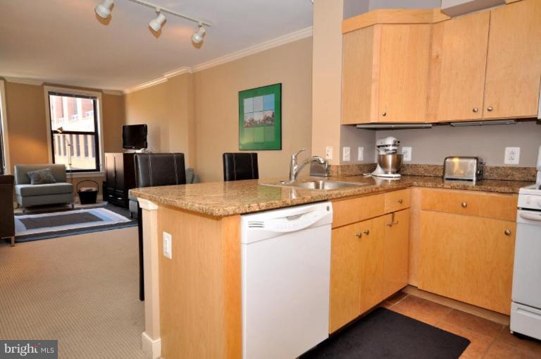 631 D Street Northwest, Unit 1037 Washington, DC 20004 - Photo 5 of 19 Kitchen