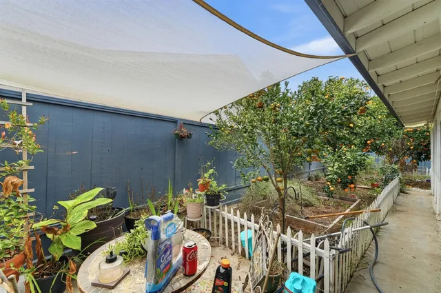 a view of a yard with plants