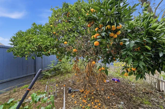 $440,000 | 1669 Wylma Way, Modesto, CA 95350