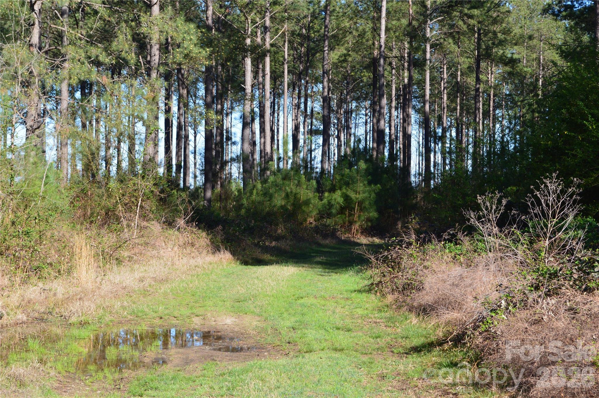 0 Peter Hawk Creek Road, Unit 14 Jonesville, SC 29353 - Photo 7 of 23 a view of backyard with green space