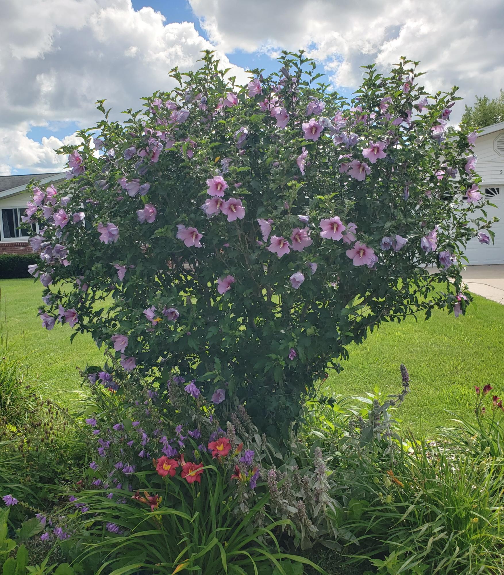 216 Riverside Drive Cheboygan, MI 49721 - Photo 53 of 61 Gallery Image 53