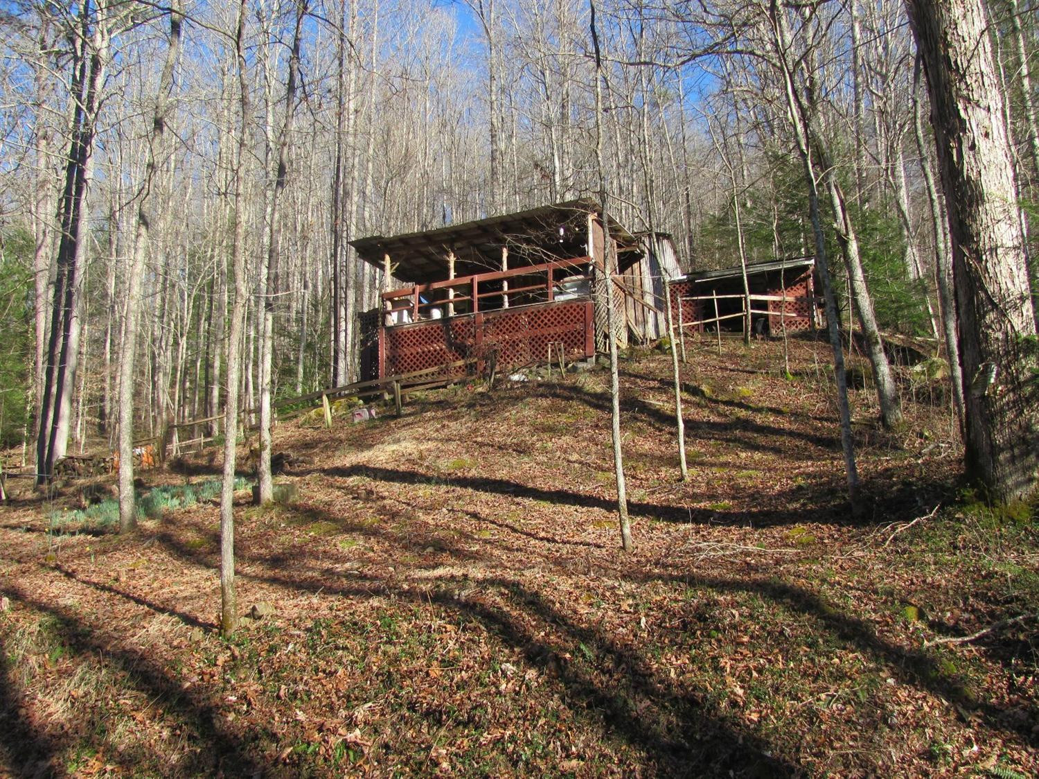 99999 Raccoon Creek Road Sandgap, KY 40481 - Photo 2 of 7 Additional front view