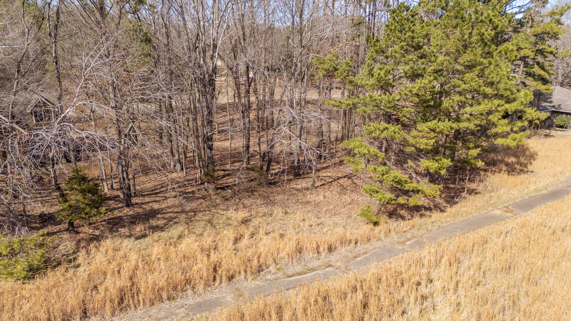 0 Treadwell Prong Road Linden, TN 37096 - Photo 1 of 6 a view of backyard of a house