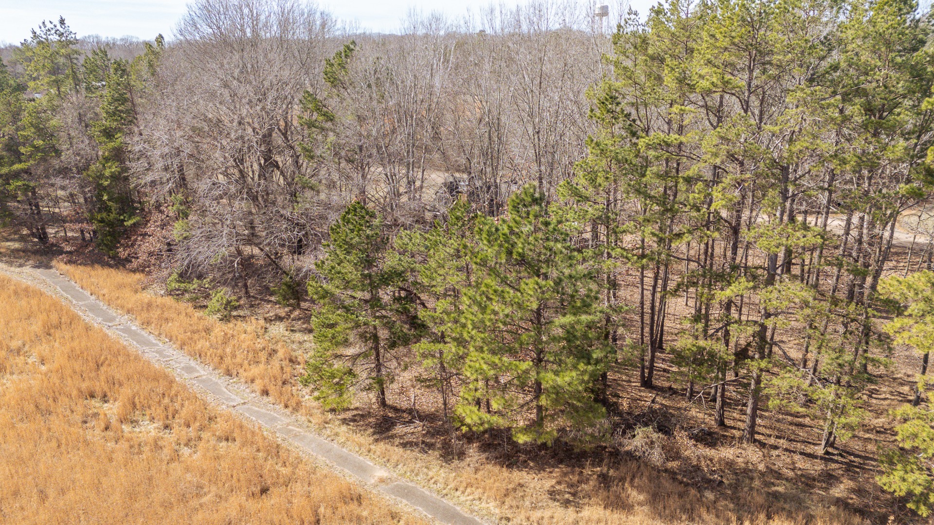 0 Treadwell Prong Road Linden, TN 37096 - Photo 2 of 6 a view of a yard with trees