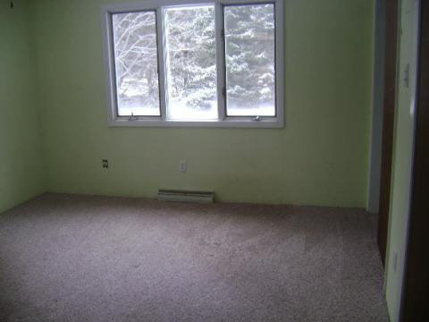 15655 West Albain Road Petersburg, MI 49270 - Photo 7 of 10 938323-6.JPG