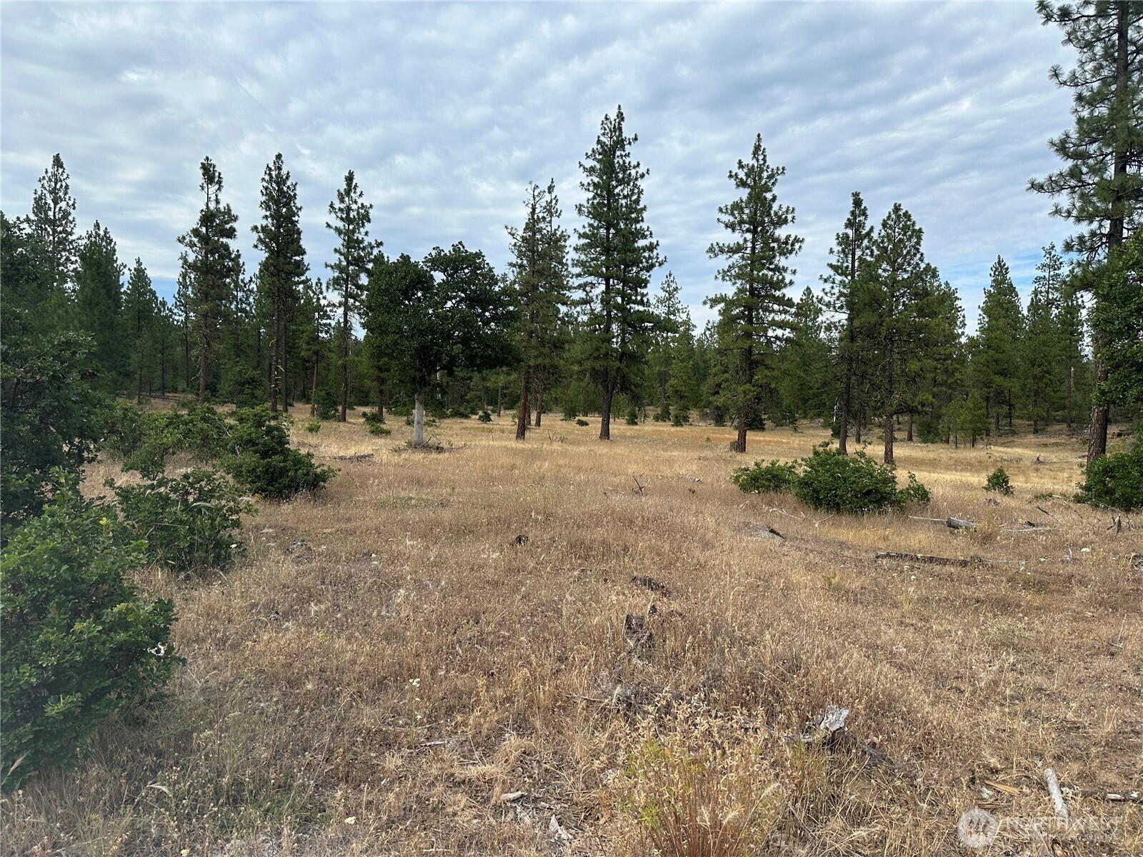 5 Greyback Mt Road Goldendale, WA 98620 - Photo 3 of 5