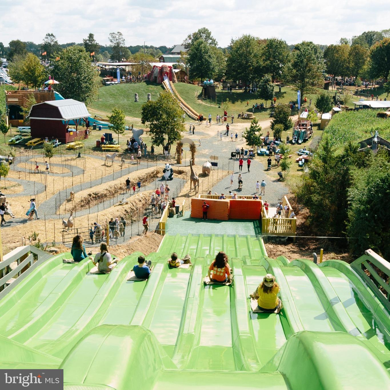 4357 Cub Run Road Chantilly, VA 20151 - Photo 38 of 40 a view of yard swimming pool and outdoor seating
