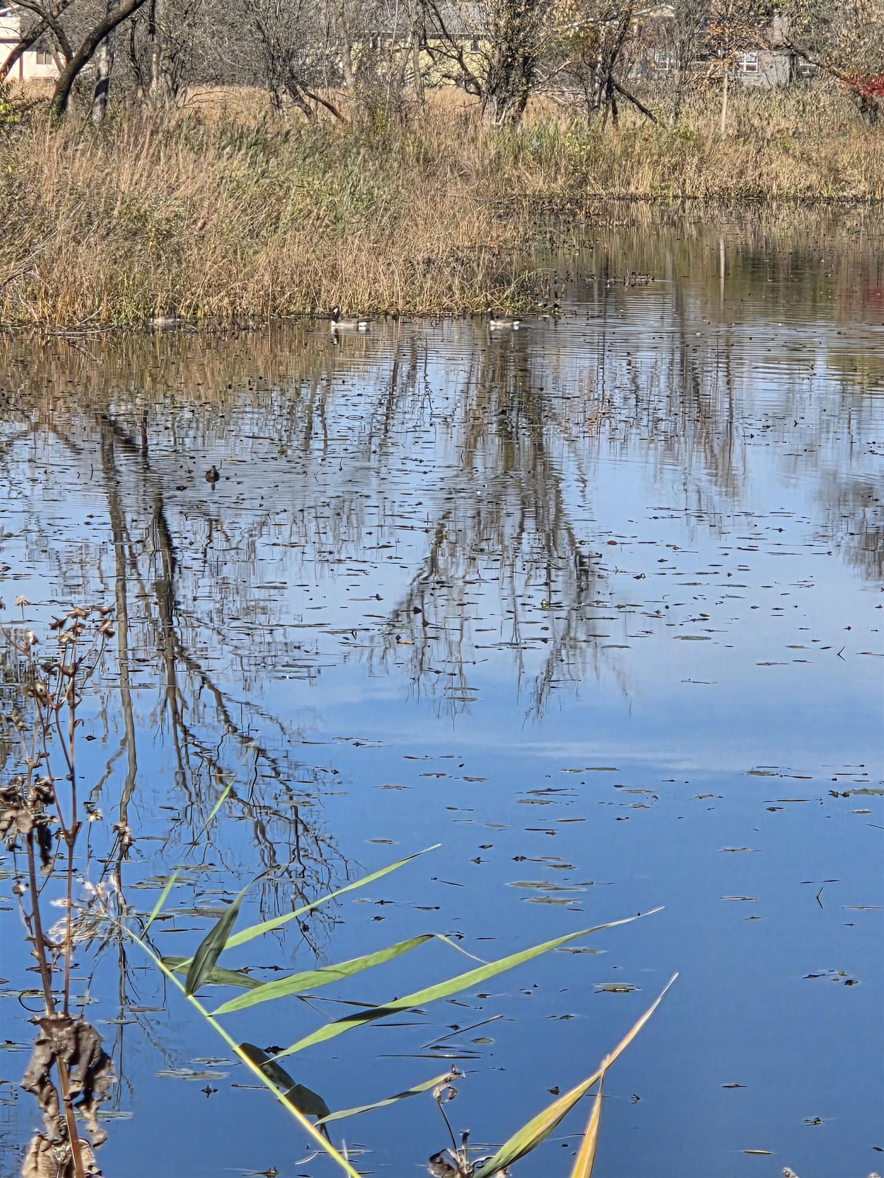 1514 Golf View Road, Unit E Madison, WI 53704 - Photo 24 of 25