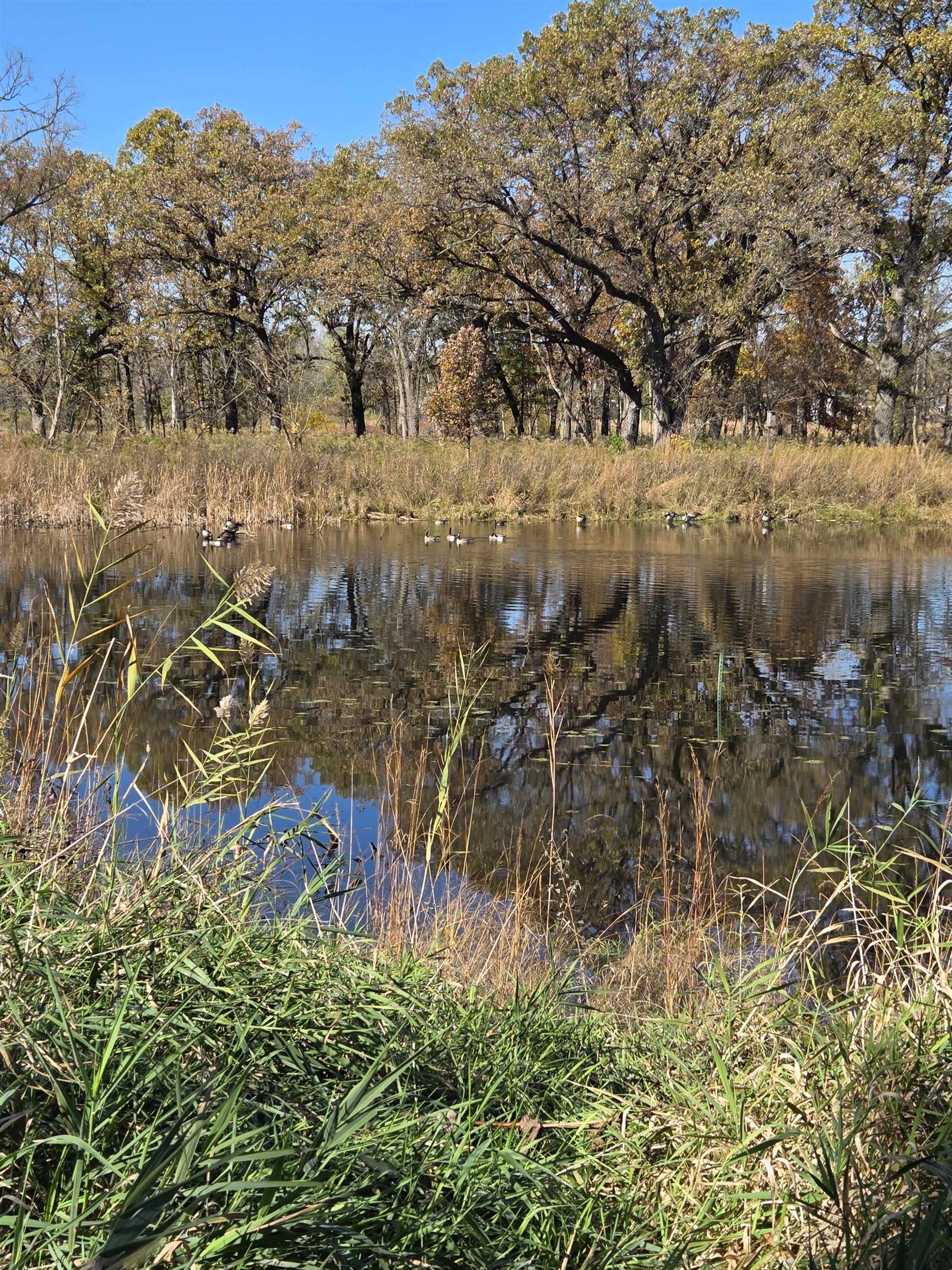1514 Golf View Road, Unit E Madison, WI 53704 - Photo 25 of 25