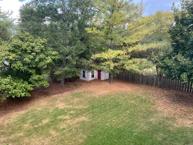 a view of a yard with a tree
