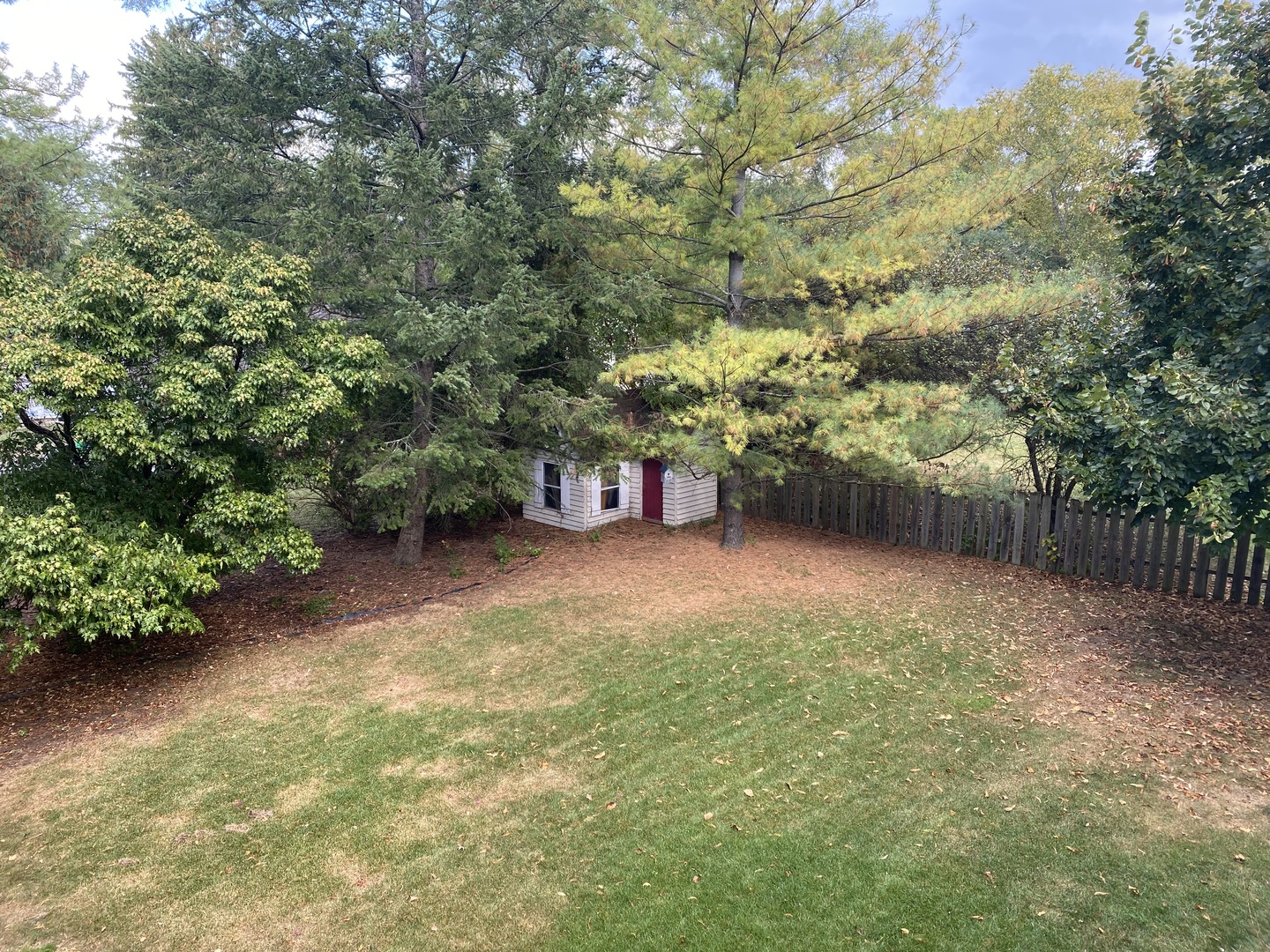 621 Young Avenue Batavia, IL 60510 - Photo 13 of 32 a view of a yard with a tree
