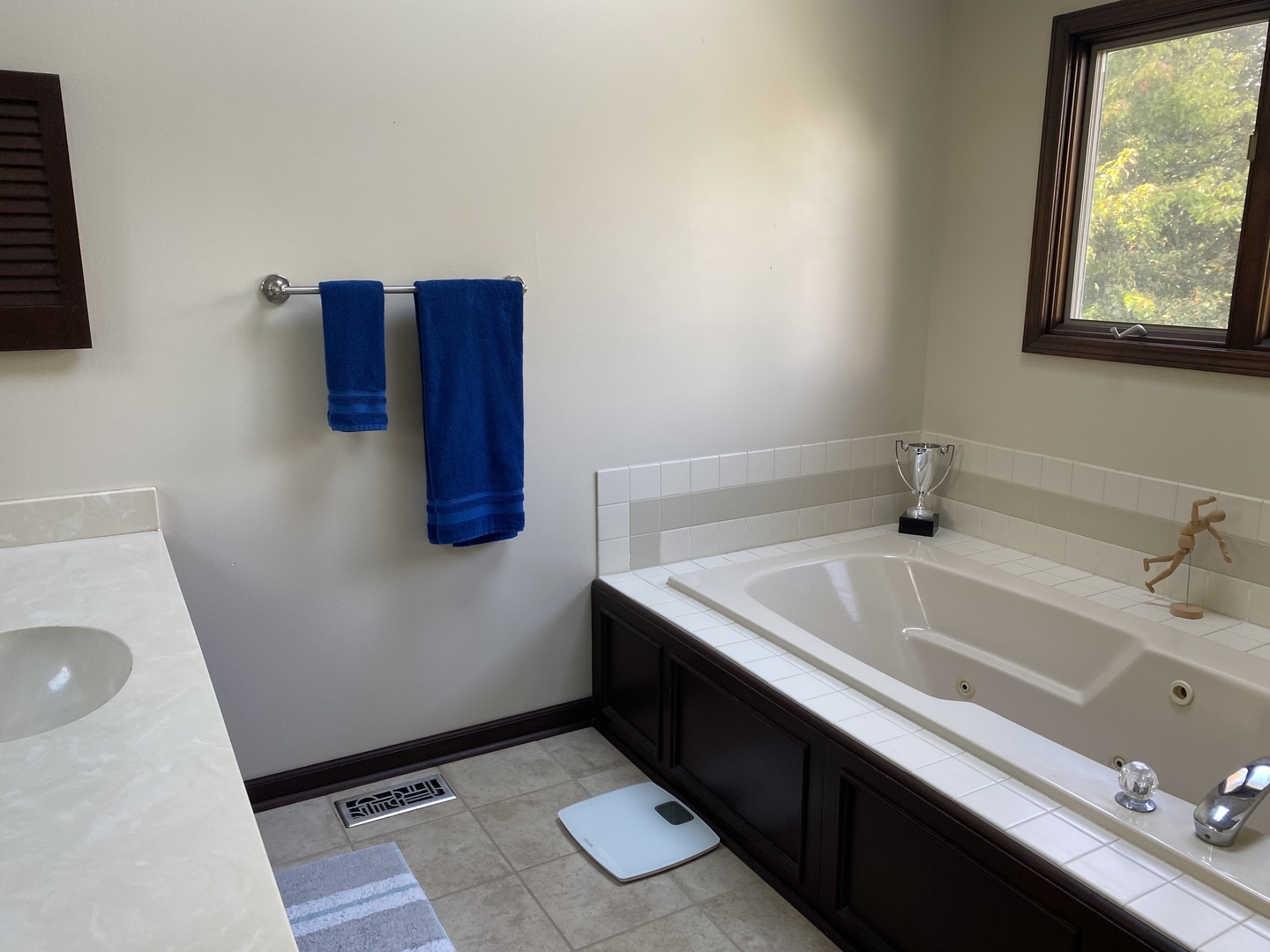 621 Young Avenue Batavia, IL 60510 - Photo 19 of 32 a bathroom with a tub sink and mirror