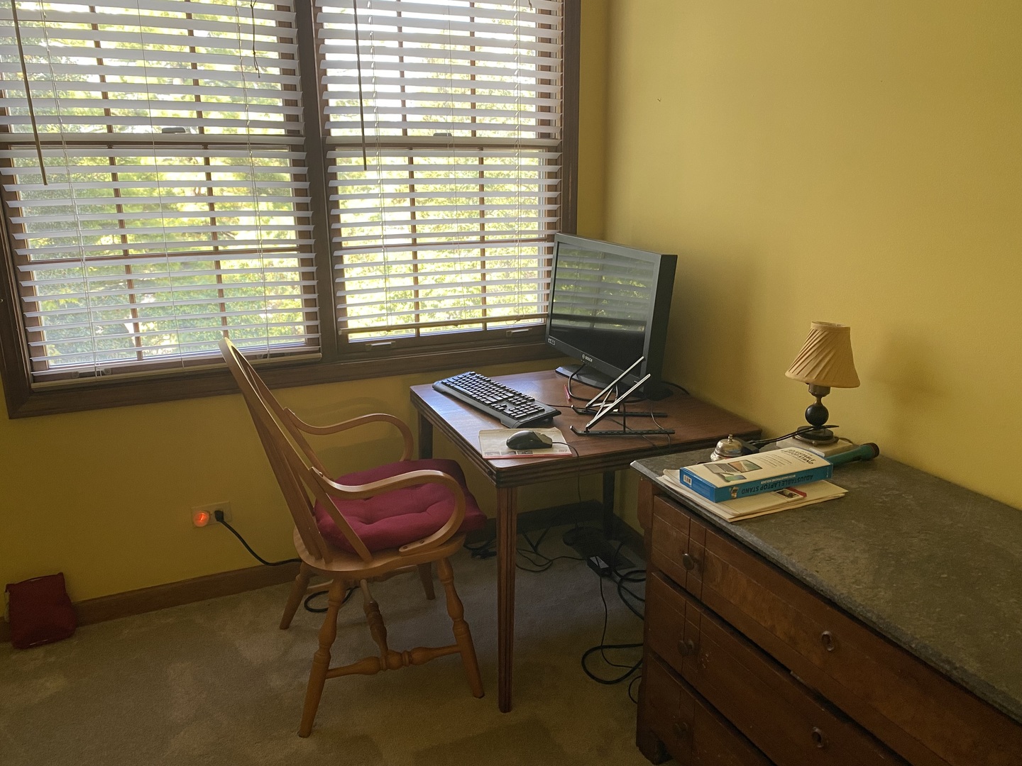 621 Young Avenue Batavia, IL 60510 - Photo 21 of 32 a view of a workspace with furniture and a window