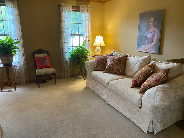 a living room with furniture and a potted plant