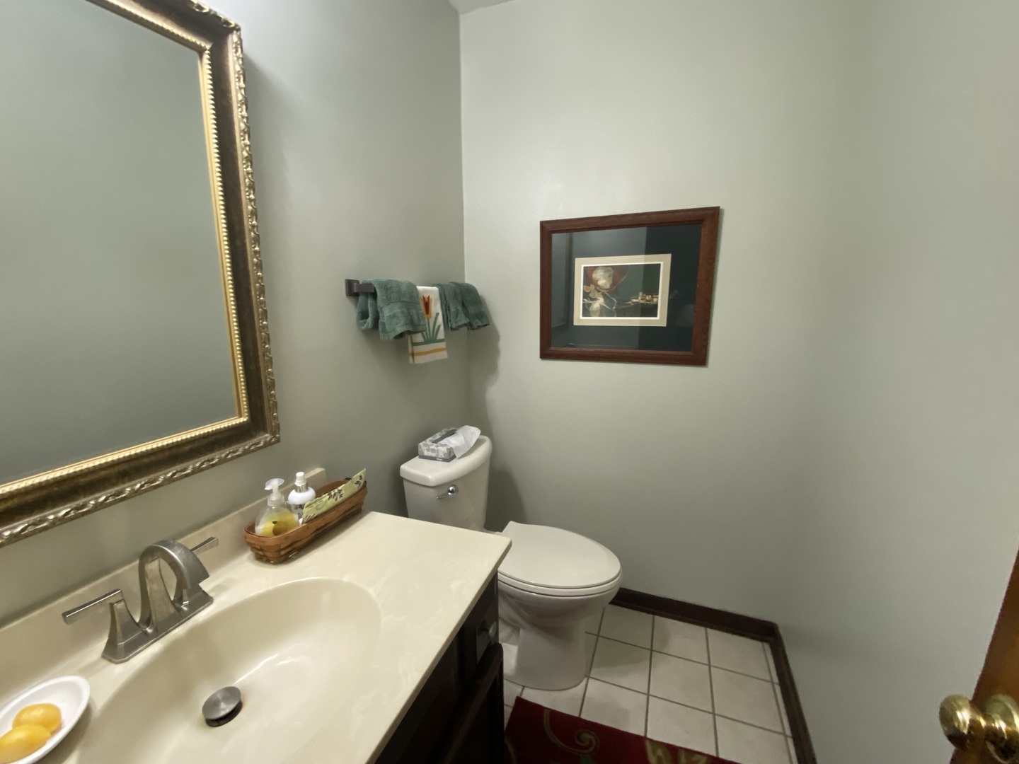 621 Young Avenue Batavia, IL 60510 - Photo 10 of 32 a bathroom with a sink and a toilet
