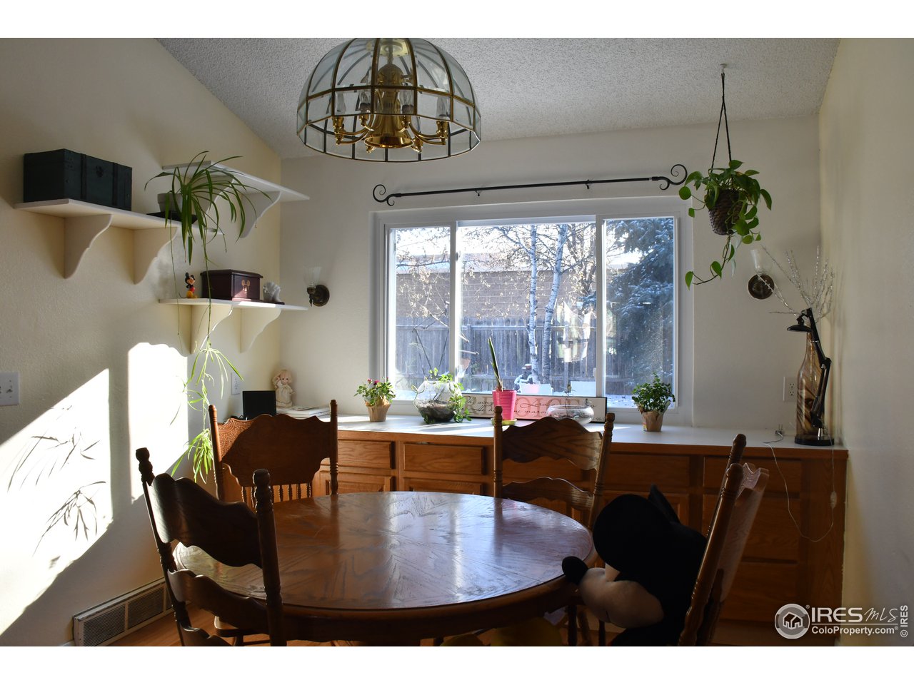 4824 9th St Road Greeley, CO 80634 - Photo 8 of 35 Dining Room