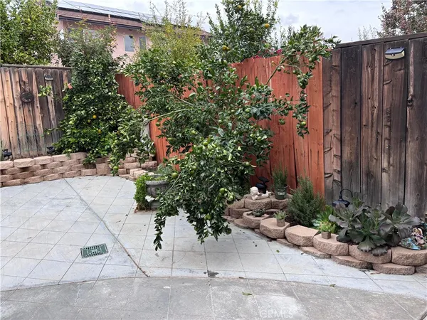 a potted plant sitting in front of a house with potted plants