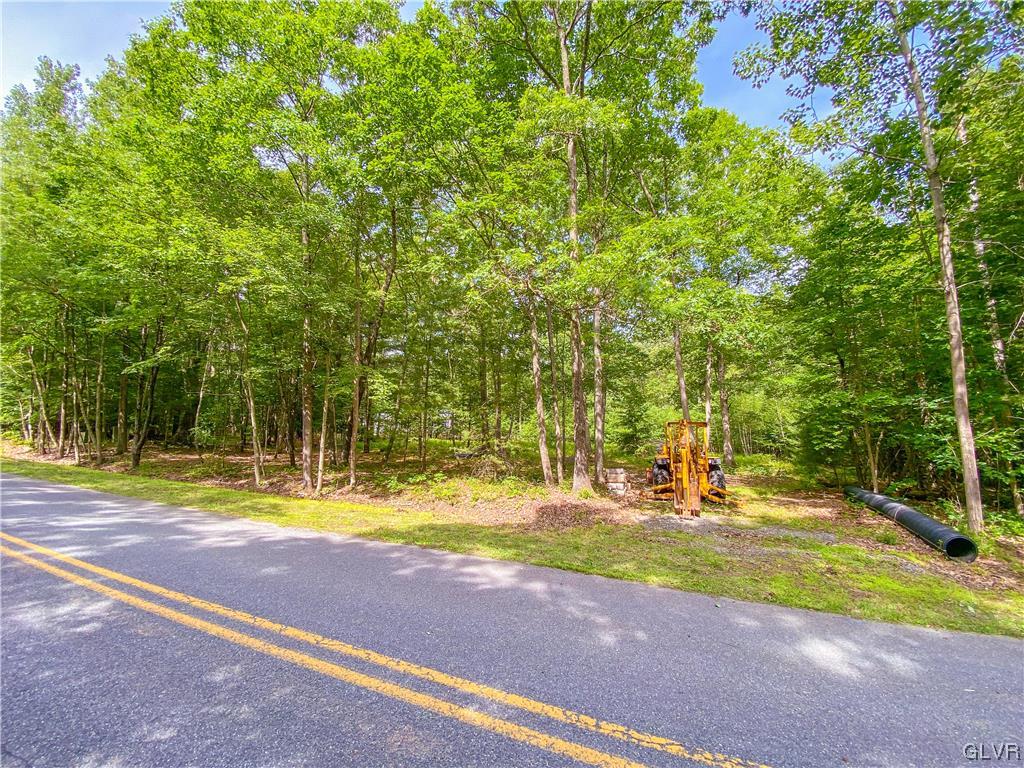 Sterner Run Road Kunkletown, PA 18058 - Photo 8 of 9 Gallery Image 8