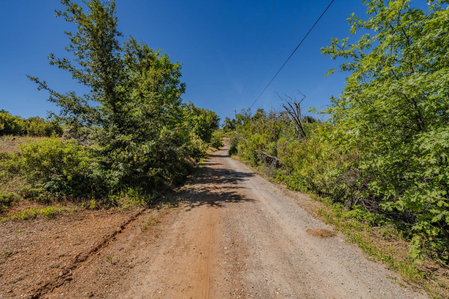 7256 Nikki Mountain Ranch Mountain Ranch, CA 95246 - Photo 10 of 27