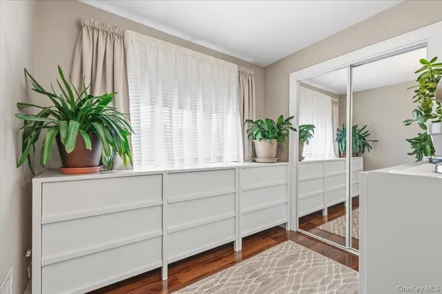 a potted plant sitting on a shelf