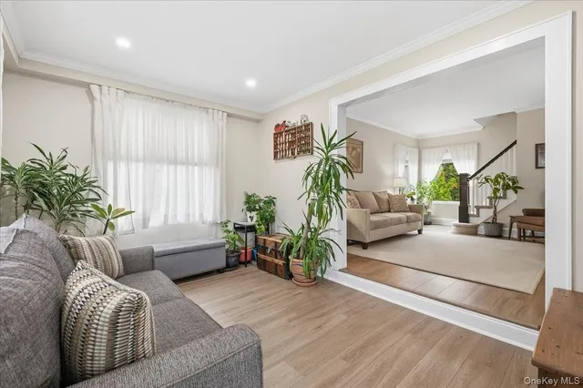 a living room with furniture and a potted plant