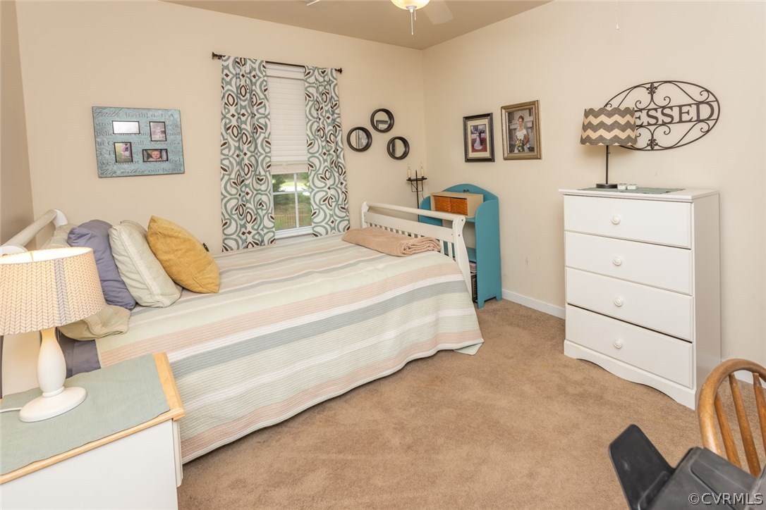 11926 Rimswell Terrace Midlothian, VA 23112 - Photo 38 of 50 Gallery Image 38