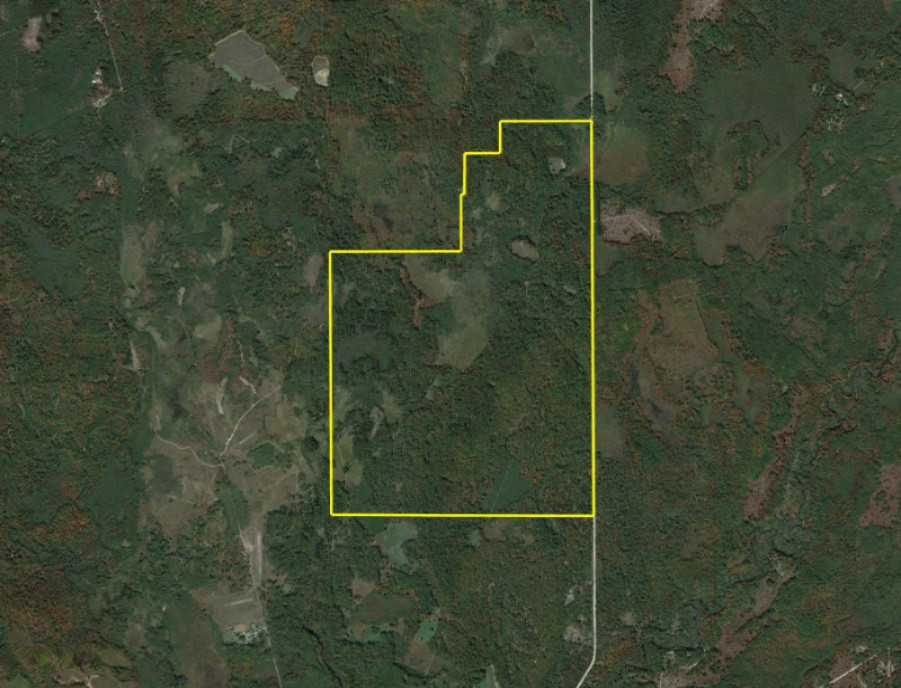779 North Sharon Road Southeast Fife Lake, MI 49633 - Photo 25 of 27