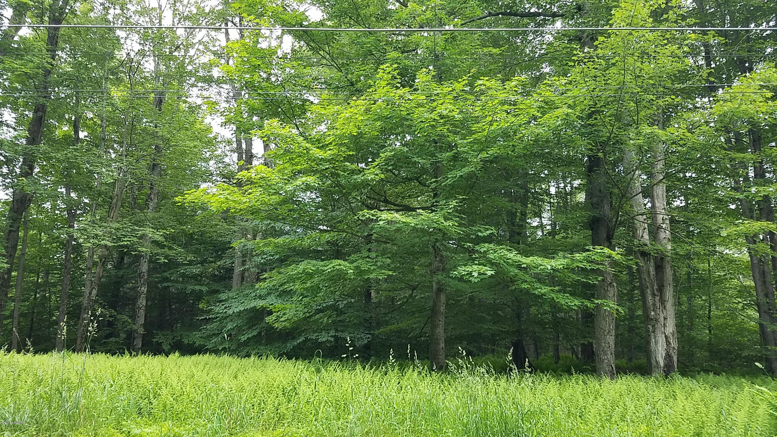 Lot 303 Sawmill Road Lake Ariel, PA 18436 - Photo 5 of 8