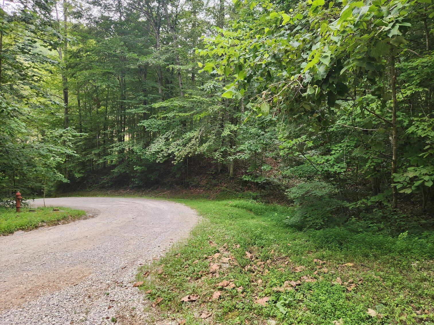 170 Birch Hollow Road Stanton, KY 40380 - Photo 21 of 25