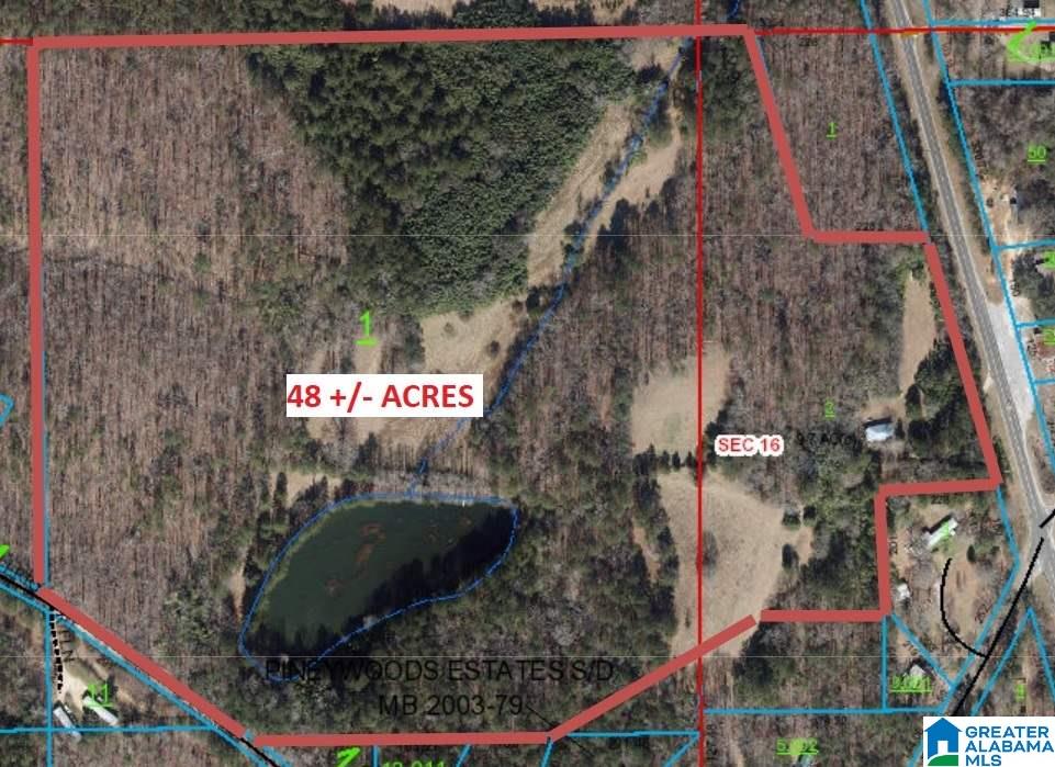3415 Logan Martin Dam Road, Unit 48 / ACRES Vincent, AL 35178 - Photo 7 of 32