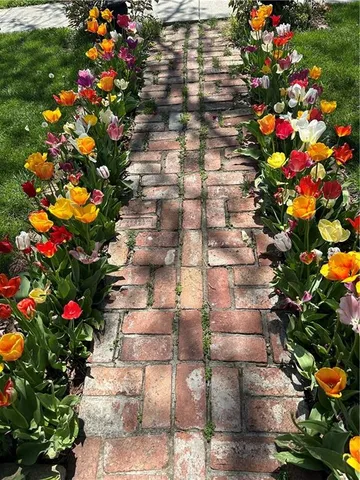 $315,000 | 317 East 4th Street, Lawson, MO 64062