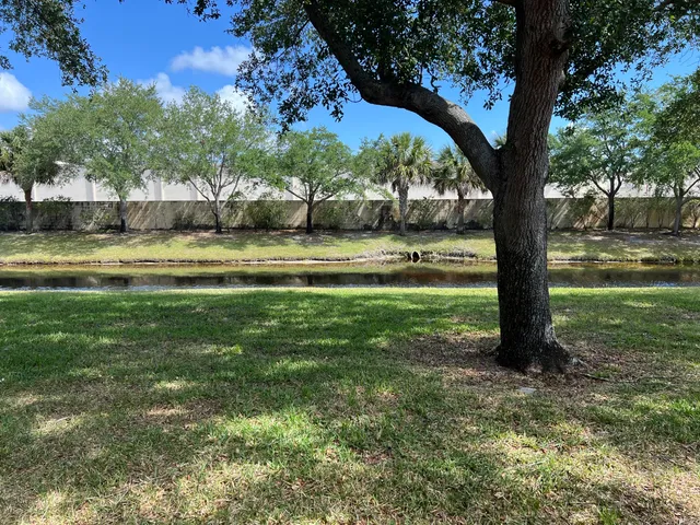 a view of a garden with large trees