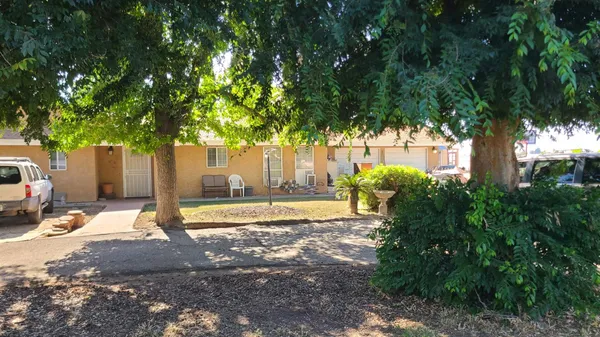 a view of a backyard with large tree