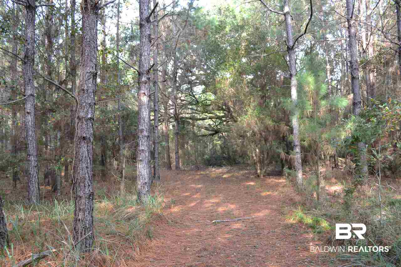 20751 Keller Road Foley, AL 36535 - Photo 34 of 44