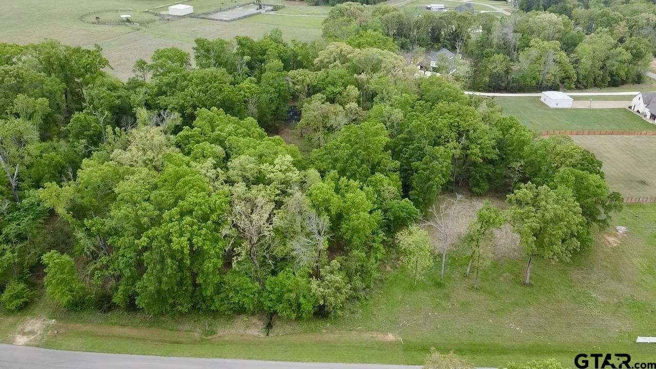 21027 Gatlinburg Road Bullard, TX 75757 - Photo 11 of 22 a view of backyard with green space