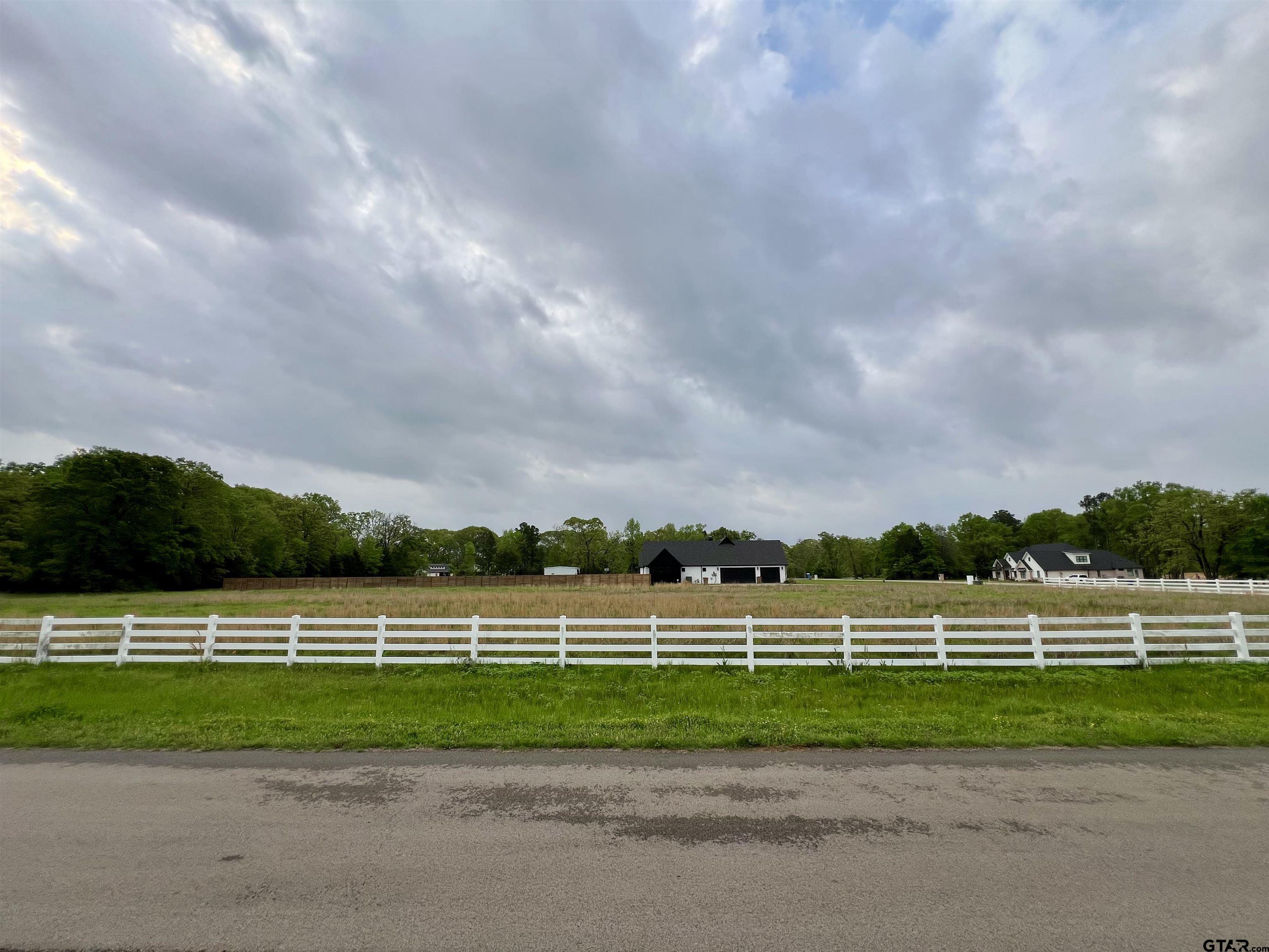 21027 Gatlinburg Road Bullard, TX 75757 - Photo 18 of 22 a view of a yard and a big yard