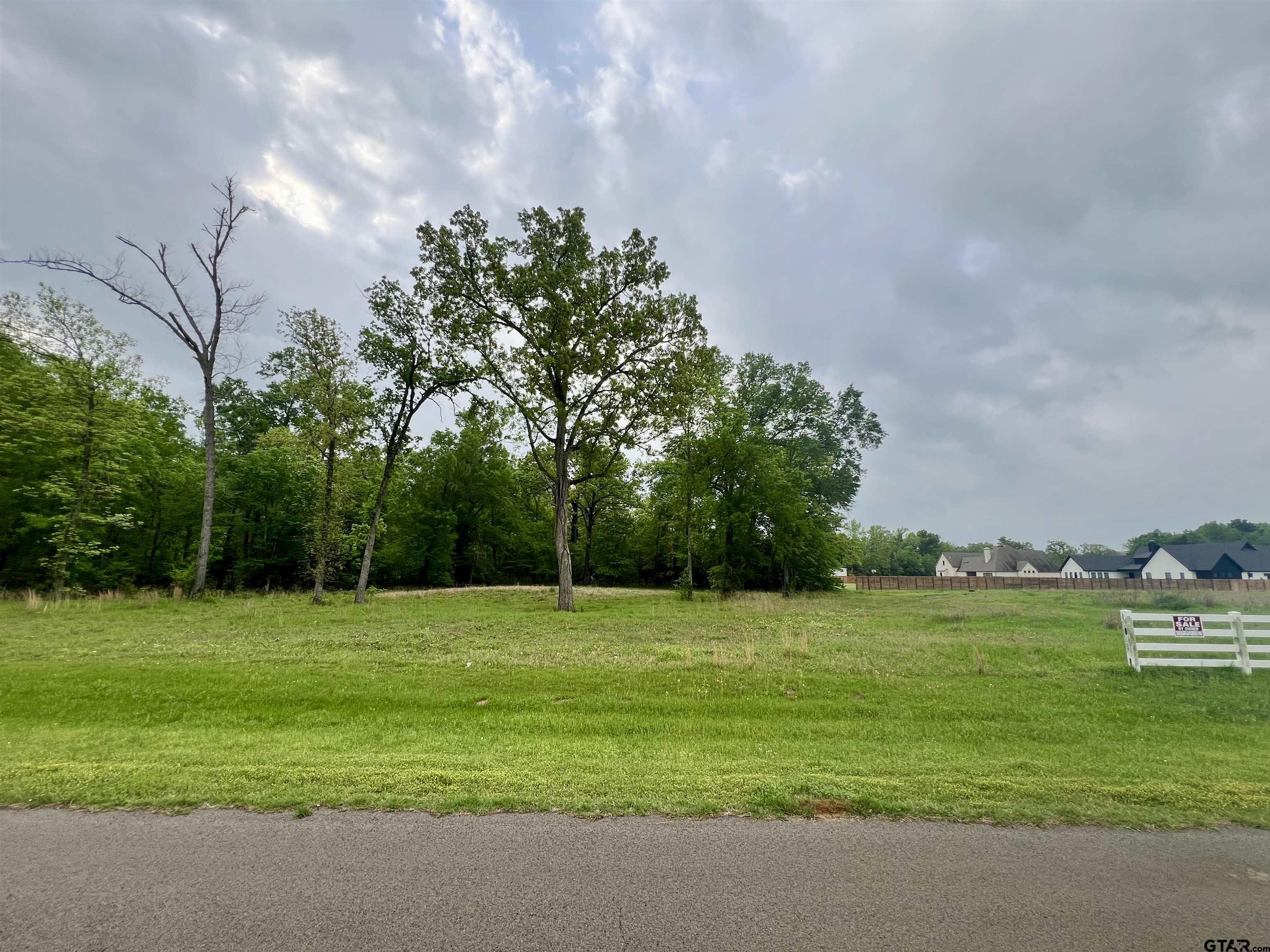 21027 Gatlinburg Road Bullard, TX 75757 - Photo 20 of 22 a view of a grassy field with trees in the background
