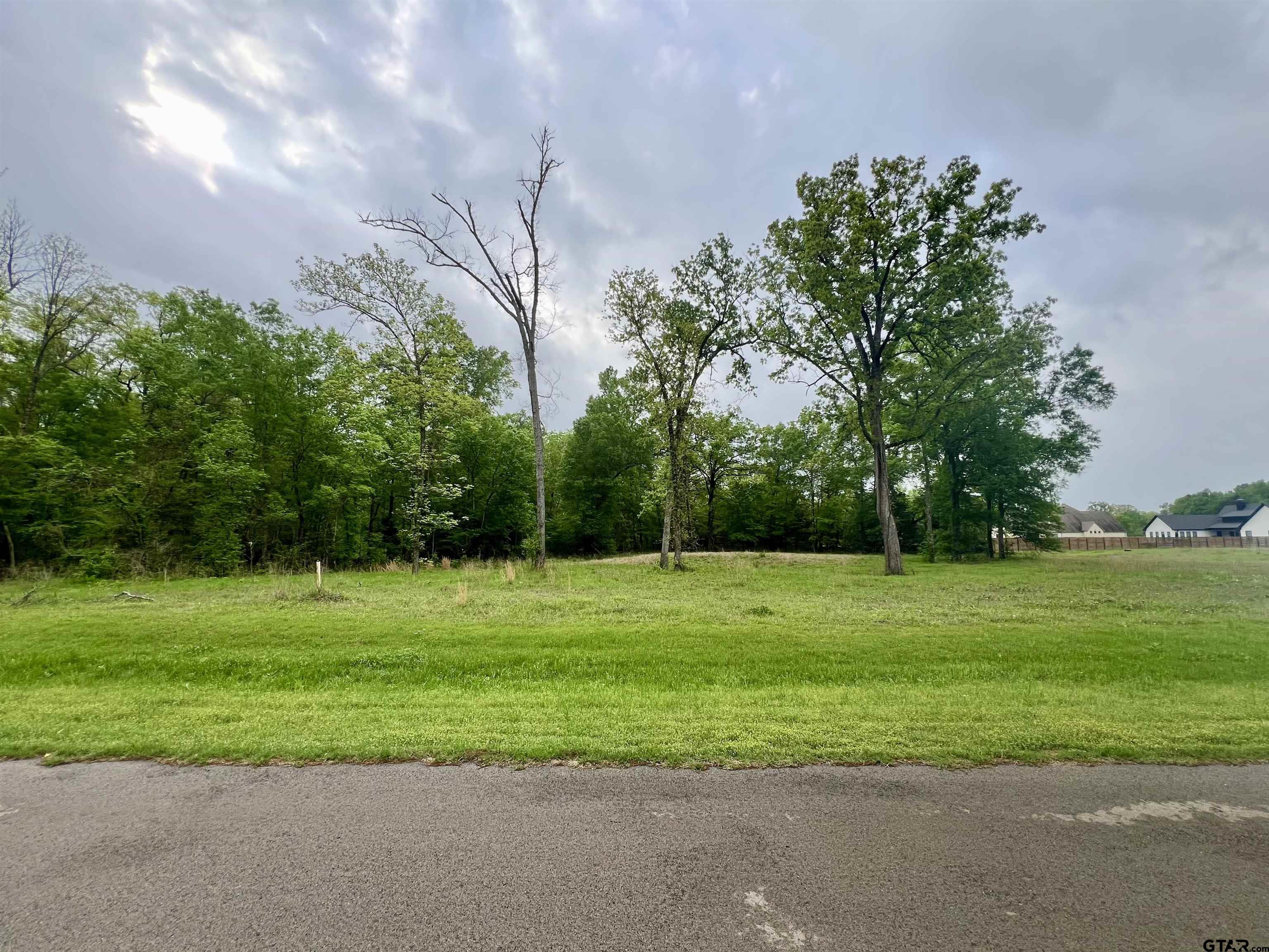 21027 Gatlinburg Road Bullard, TX 75757 - Photo 21 of 22 a view of a grassy field with trees