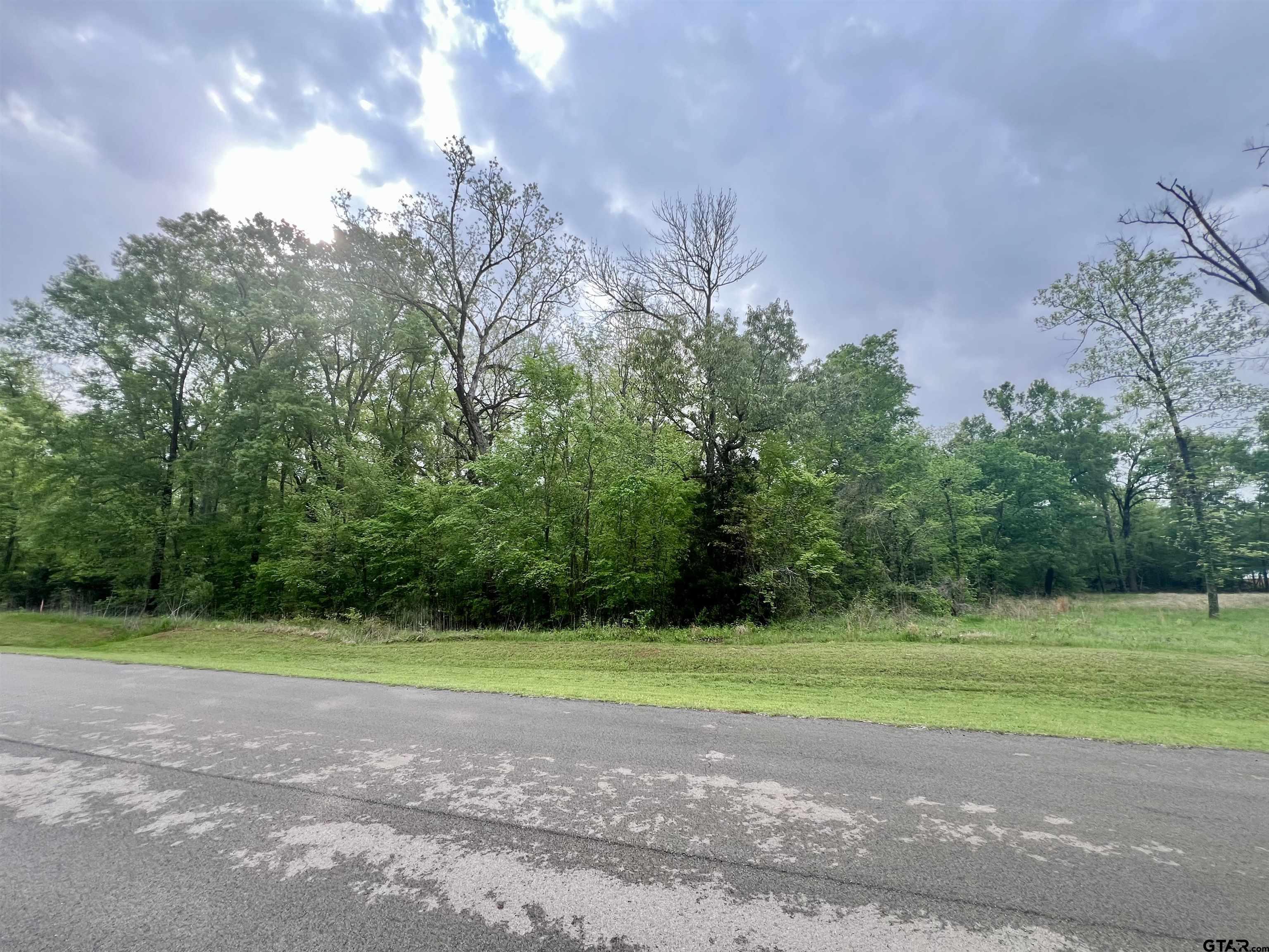 21027 Gatlinburg Road Bullard, TX 75757 - Photo 22 of 22 a view of a basketball court