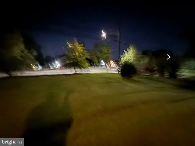 a view of a flower in a garden