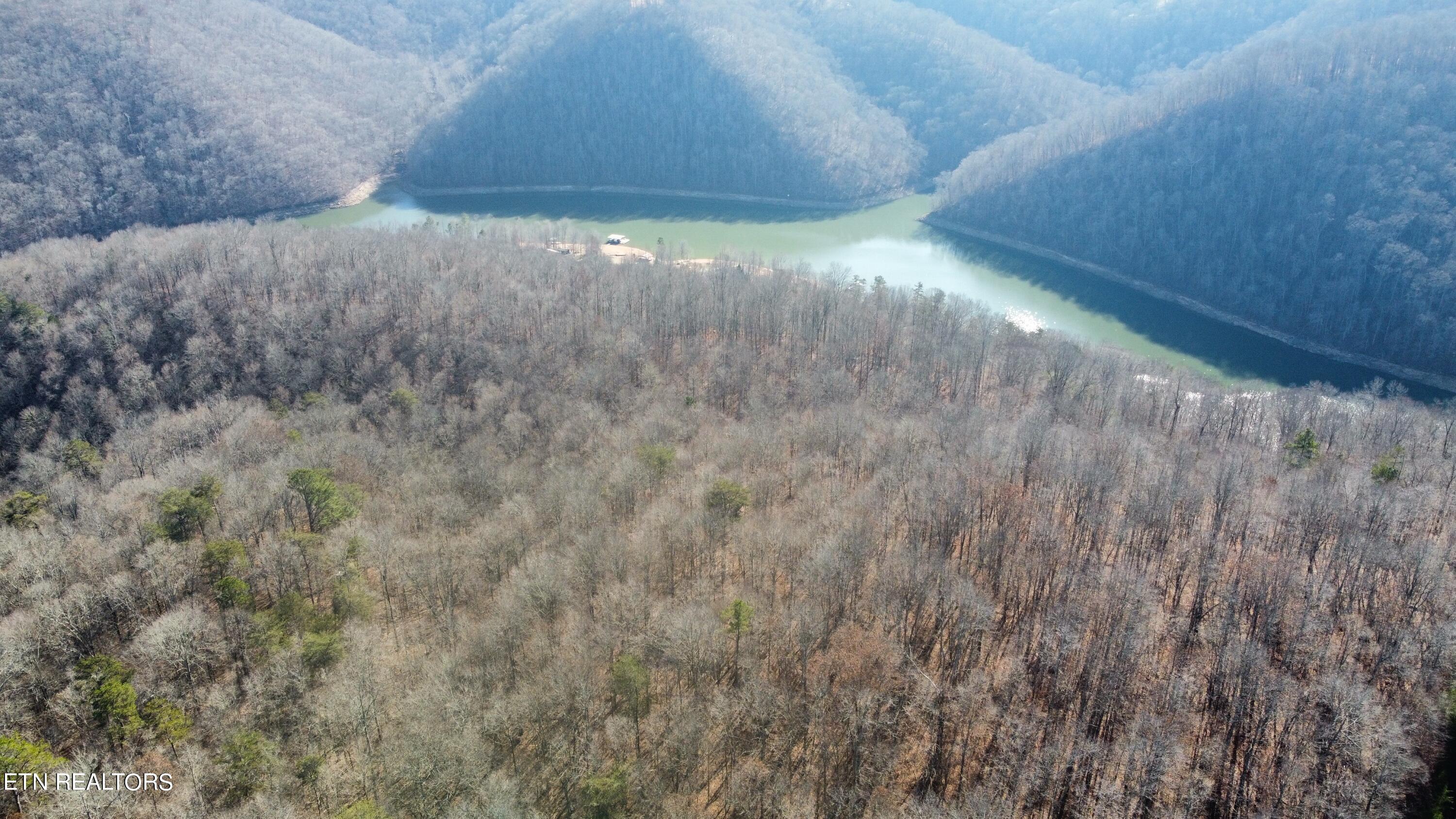 Lot 8 Jones Ridge Road Speedwell, TN 37870 - Photo 11 of 12 78818B7F-9945-4E84-B03B-448BA0F4A812