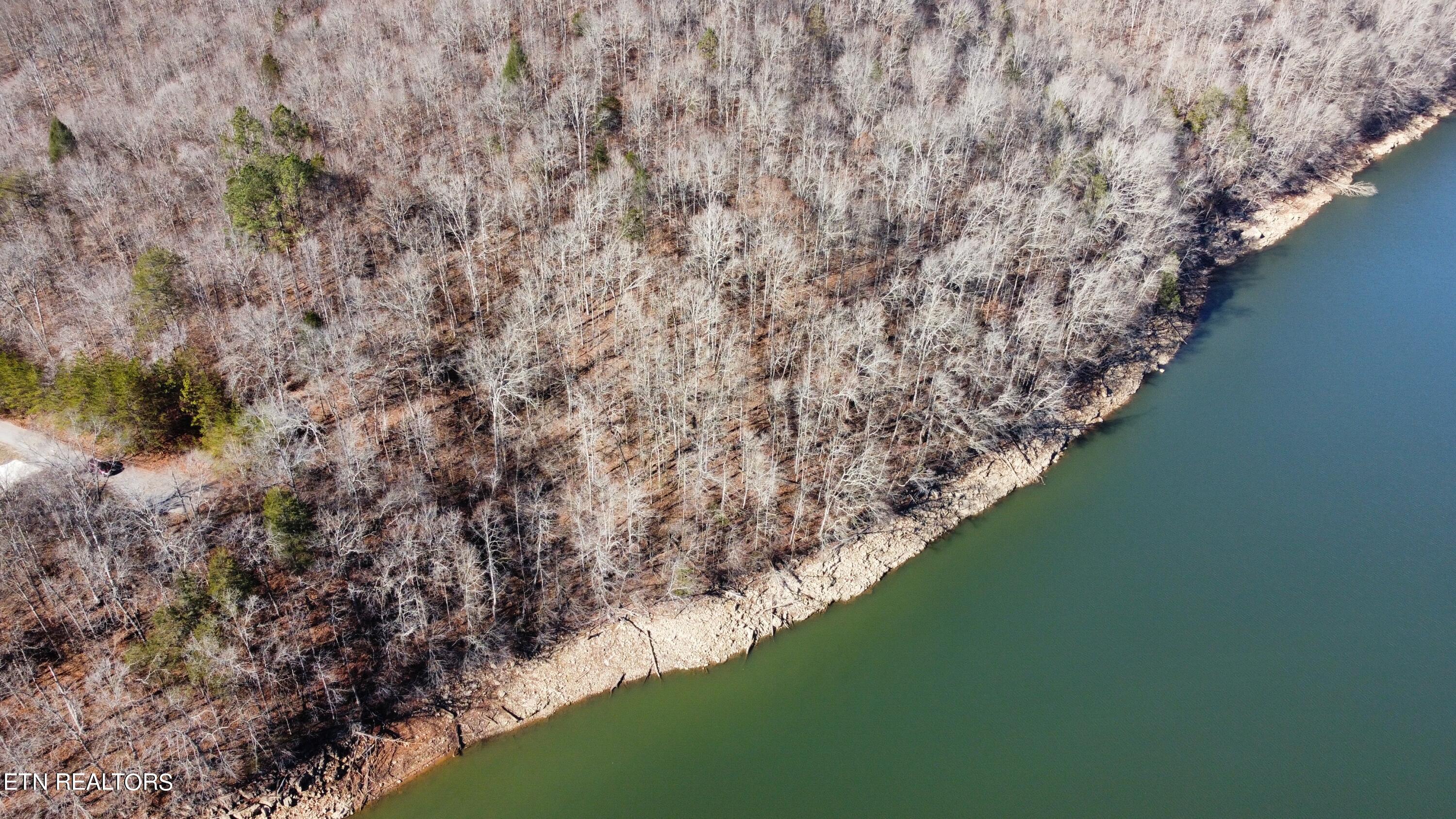 Lot 8 Jones Ridge Road Speedwell, TN 37870 - Photo 5 of 12 E9210B07-9B6C-4517-9A24-FC70121DBAD0