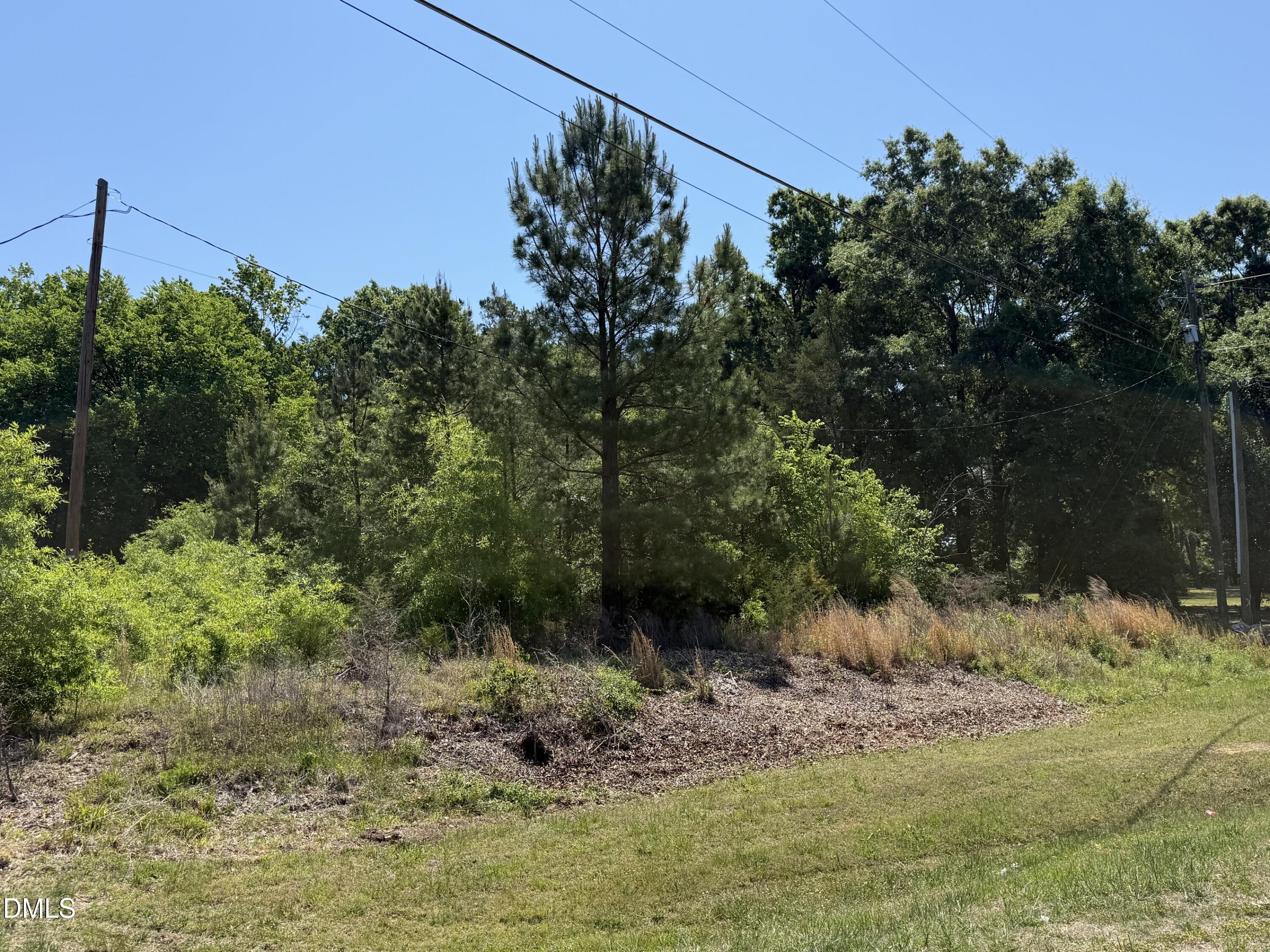 1.5-ac Lot Country Club Road Roxboro, NC 27574 - Photo 4 of 5 IMG_9854