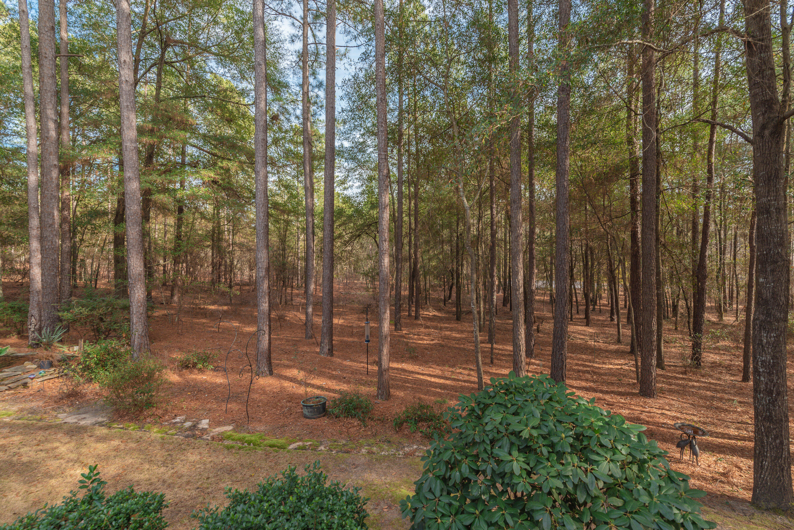 312 Merrifield Court Aiken, SC 29803 - Photo 51 of 60