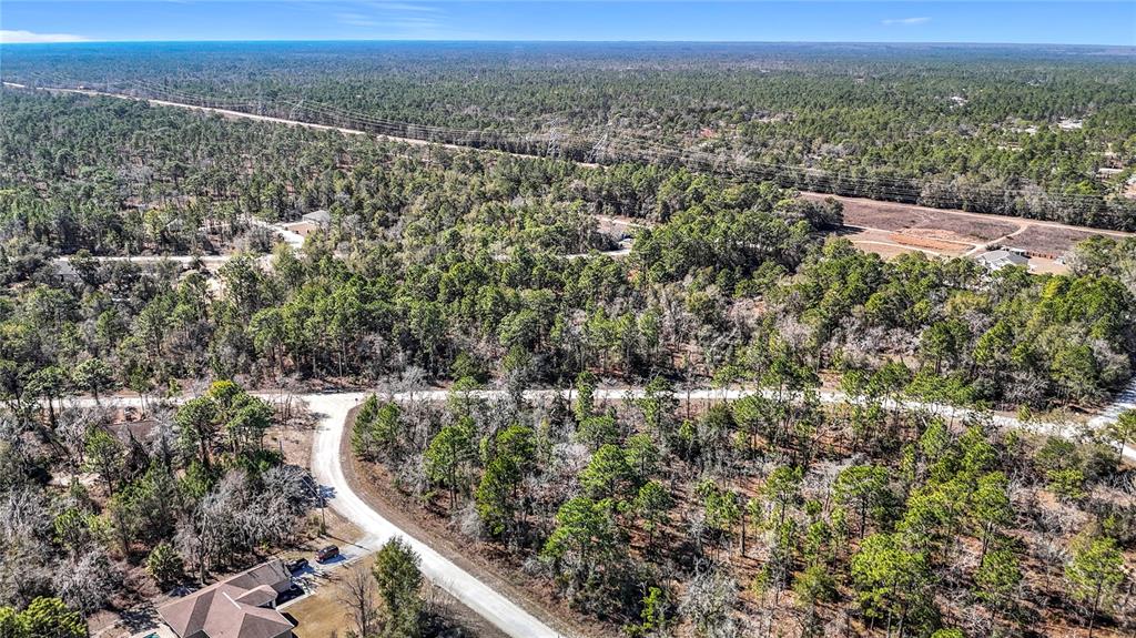 16070 Sheldrake Loop Weeki Wachee, FL 34614 - Photo 19 of 23