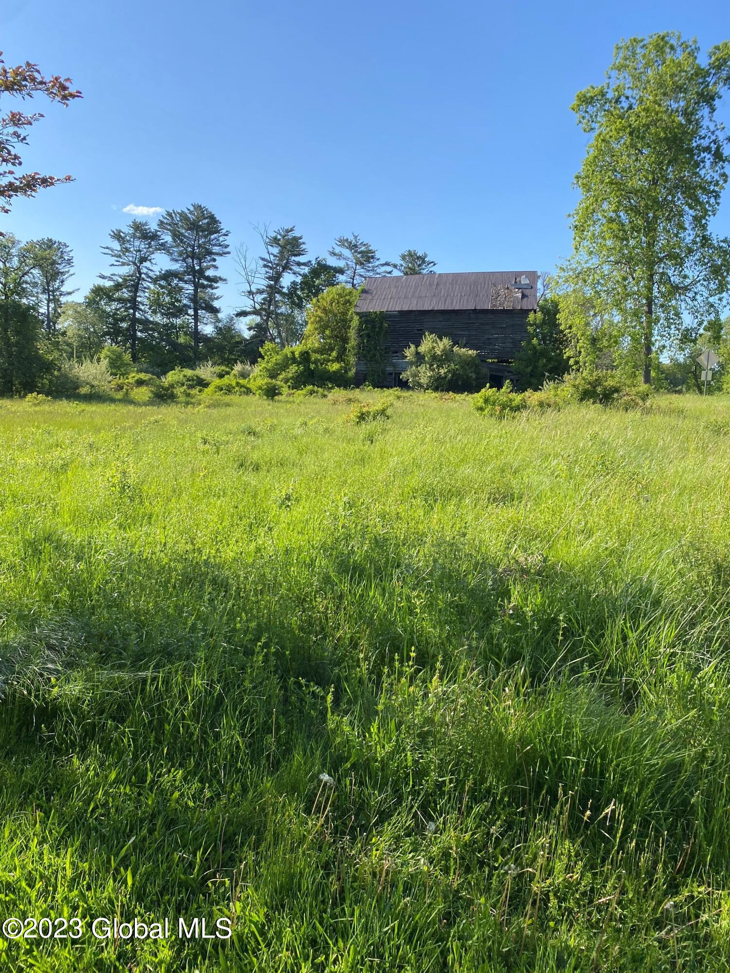 L35.1 Font Grove Road Slingerlands, NY 12159 - Photo 10 of 12 9